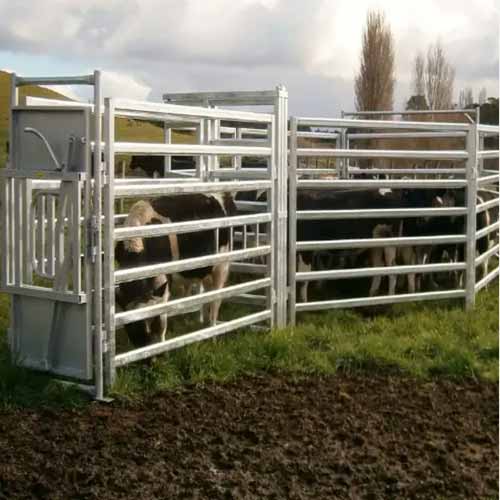 New Design Portable Corral Fence Galvanized Livestock Cattle Fencing Round Pen Field Horse Fence For Horse Yard