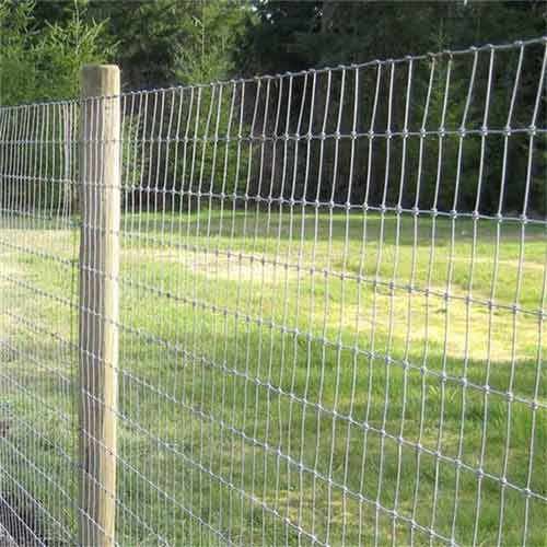 cheap price hot dipped galvanized deer farm fence/metal farm fence
