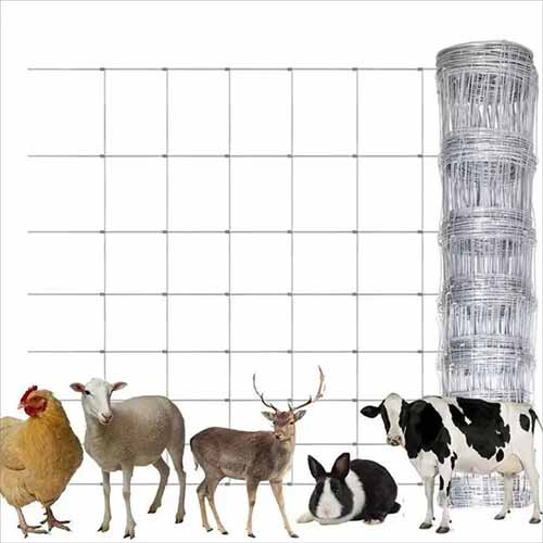 Grassland Fence Sheep Mesh Fence Cattle Fence