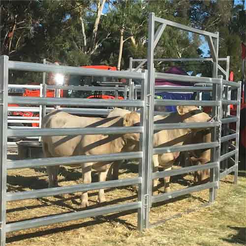 China supplier heavy duty cheap hot dip galvanized cattle yard panels