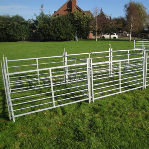 Cattle Fence Building Regulations: Farm Compliance and Land Use Requirements