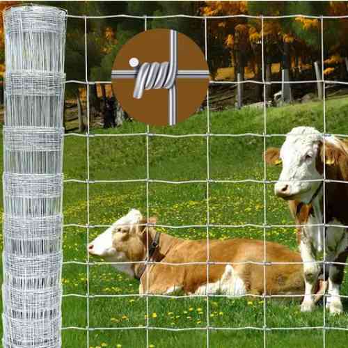 Cattle Fence : How to Choose the Right Type for Your Ranch or Farm