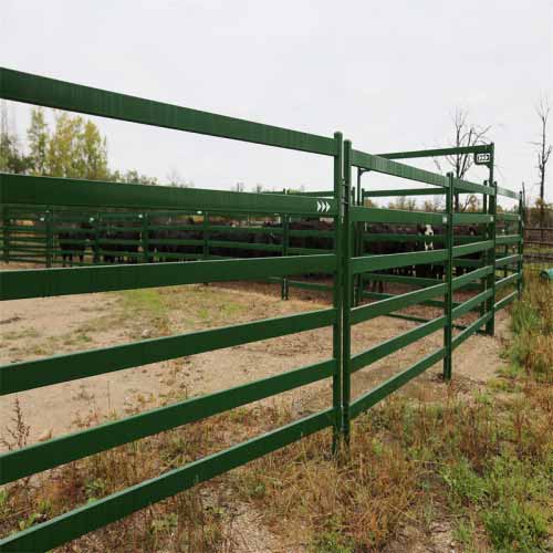 Cattle Fence: Integrated Security Systems for Livestock Safety