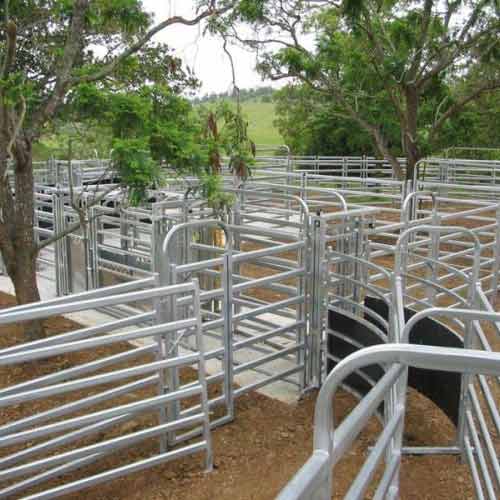 Cattle Fences for Hilly Terrain: Installation Tips and Stability Solutions