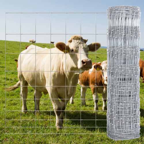 Cattle Fence Post Spacing: Structural Integrity and Pressure Distribution