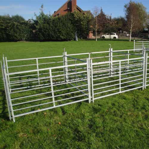 Cattle Fence– Durable Solution for Large Pastures