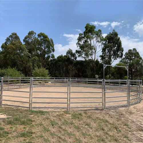 Cattle Fences in Rotational Grazing Systems: How They Improve Pasture Health