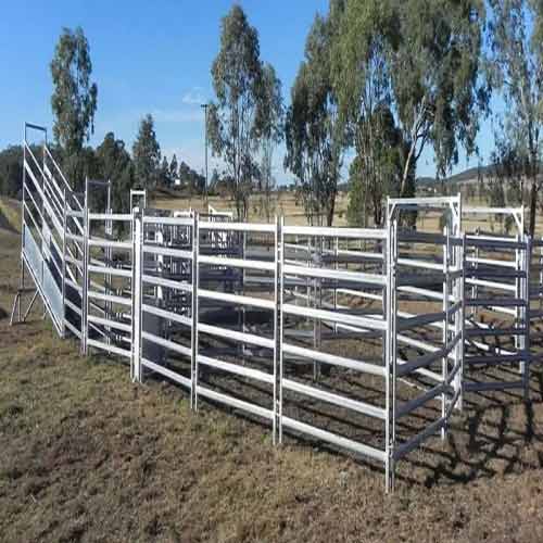 Cattle Fence with Gates - Controlled Access & Movement