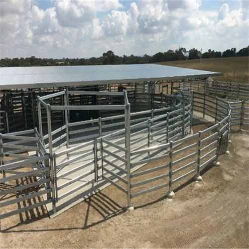 Cattle Fence vs. Horse Fence: Design Differences and Safety Considerations