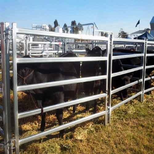 Cattle Fence Height Requirements: Livestock Safety and Containment Standards