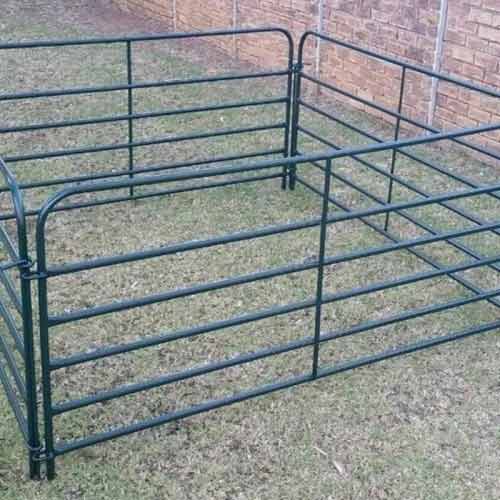 Breed-Specific Cattle Fencing: Different Cattle Sizes and Behavioral Considerations