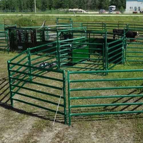 Moving Cattle Fences for Sustainable Grazing Management